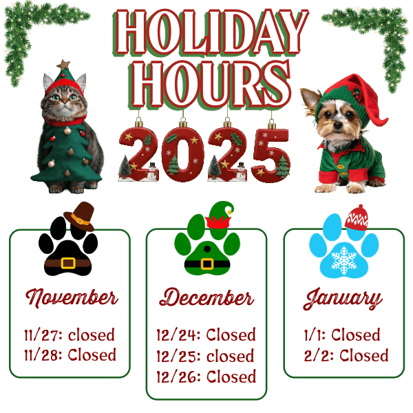 Cwc 2025 Holiday Pop Up