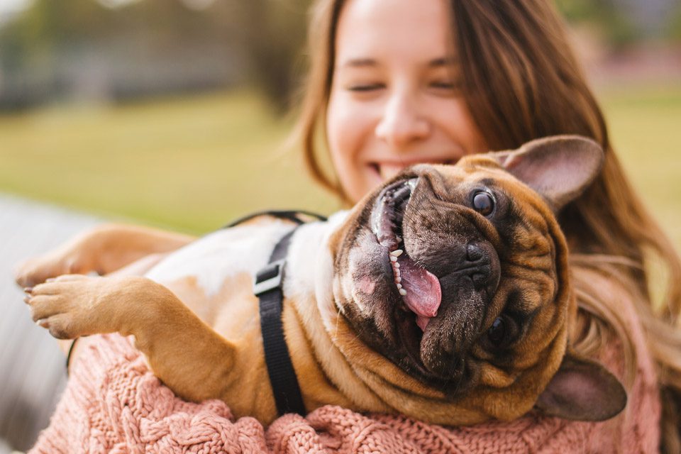 Dog Owner With Dog