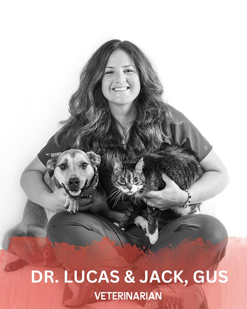 Dr Charlotte Lucas with Jack and Gus