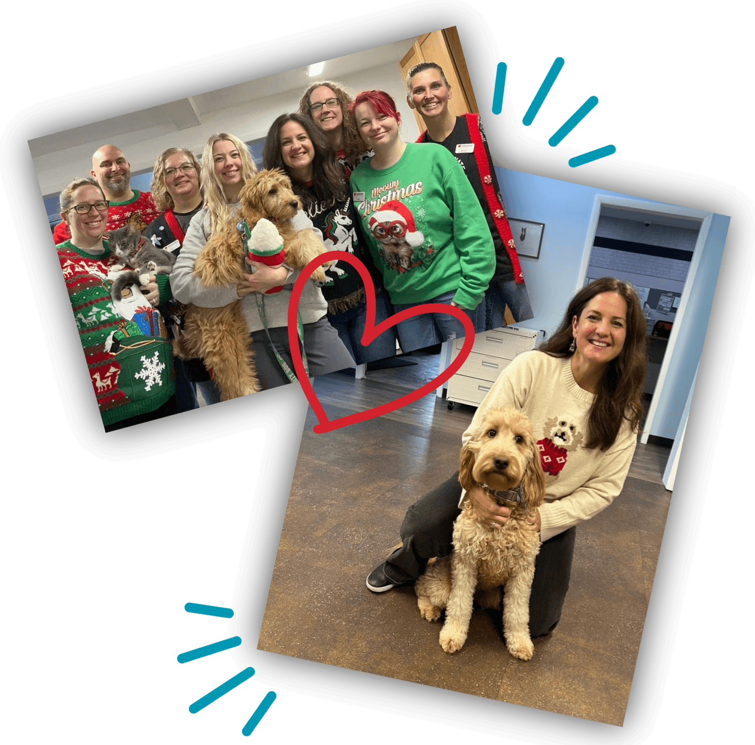 Cvc Homepage Collage