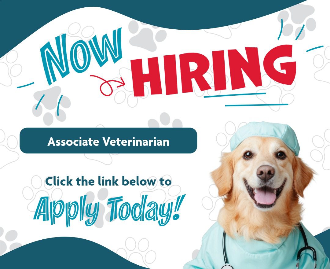 Now Hiring Pop Up Graphic 2 (2)
