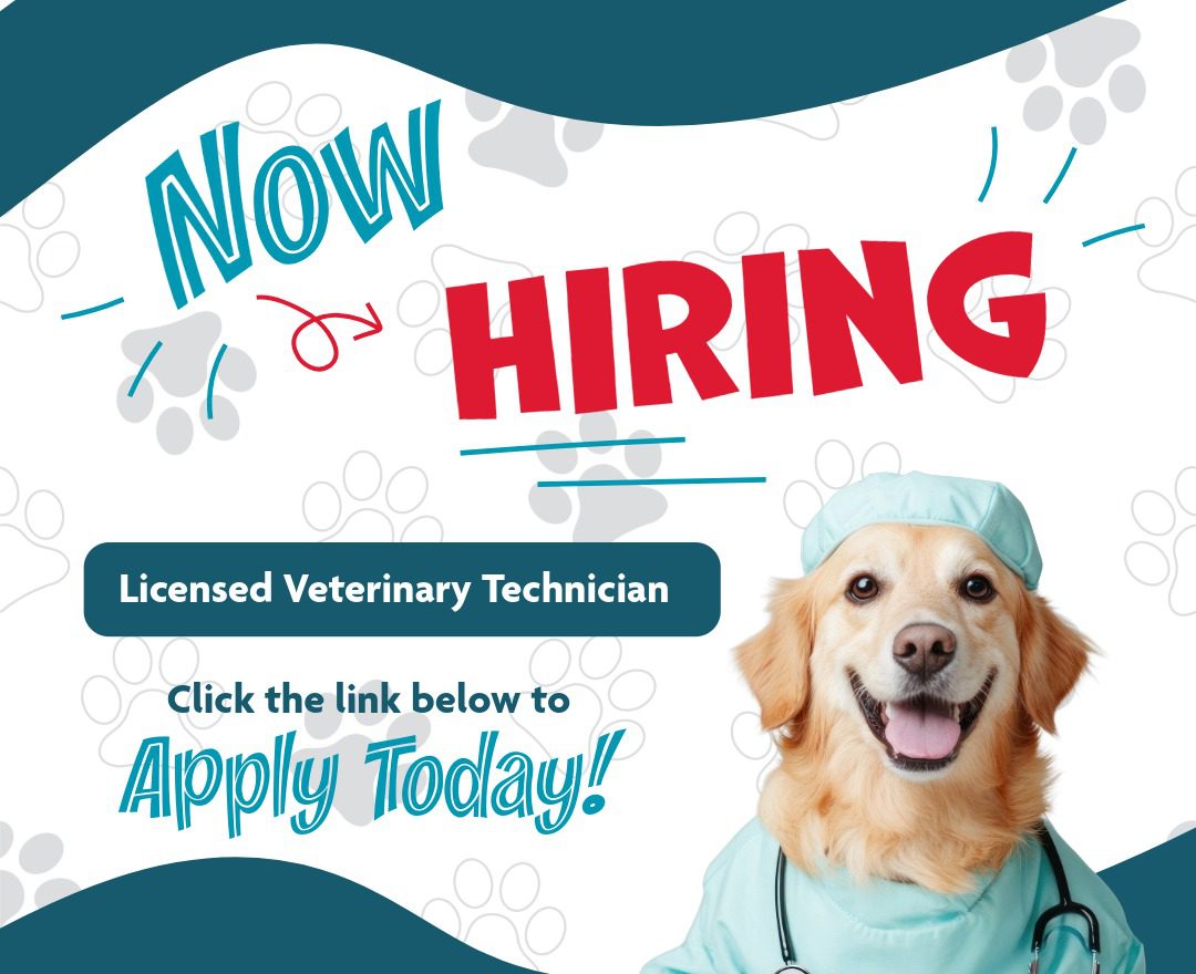 Now Hiring LVT Pop Up Graphic